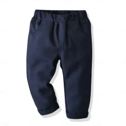 4 Pieces Ring Bearer Suit Boys Kids Suit Formal Suit Suit & Blazer Formal Party Fashion Solid Color Buttons Pocket Sky Blue Cotton