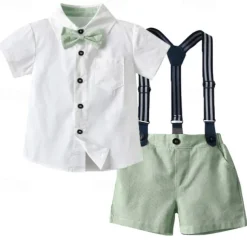 2 Pieces Ring Bearer Suit Boys Kids Shirt & Shorts Clothing Set Outdoor Street Fashion Cool Casual Solid Color Bow Pink Green Cotton