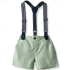 2 Pieces Ring Bearer Suit Boys Kids Shirt & Shorts Clothing Set Outdoor Street Fashion Cool Casual Solid Color Bow Pink Green Cotton