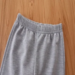 2 Pieces Toddler Boys Hoodie & Sweatpants Set Outfit Car Long Sleeve V Neck Cotton Set School Fashion Daily Spring Fall 3-7 Years Yellow