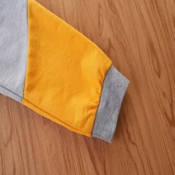 2 Pieces Toddler Boys Hoodie & Sweatpants Set Outfit Cartoon Long Sleeve Crewneck Set School Fashion Daily Fall 4-7 Years Yellow