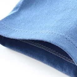 2 Pieces Toddler Boys T-shirt & Shorts Outfit Cartoon Bear Stripe Short Sleeve Cotton Set Outdoor Fashion Daily Summer Spring 3-7 Years B73 B55 B64