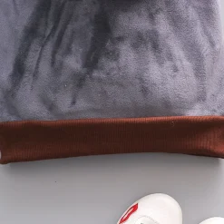 3 Pieces Toddler Girls' Graphic Zipper Pants Suit Set Long Sleeve Active Formal Cotton 3-7 Years Spring Pink Light Brown Khaki