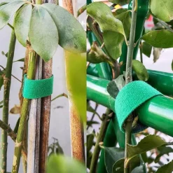 3 Rolls Plant Bandage Velcro Tie Adjustable Plant Support Reusable Fastener Tape For Home Garden Accessories