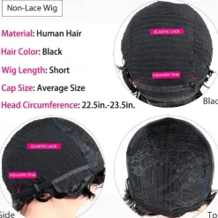 Afro Kinky Curly Bangs Wig For Women Afro Pixie Cut Short Human Hair Wig Soft Curly Afro Wig Natural Looking For Daily Use