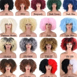 Afro Kinky Curly Wig with Bangs 12 Inches Synthetic Full Wigs Heat Resistant Short Kinky Curly Wigs for Daily Party Halloween Wigs