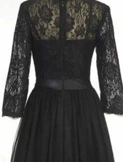 A-Line Cocktail Dresses Elegant Dress Ankle Length 3/4 Length Sleeve Jewel Neck Fall Wedding Guest Tulle with Pleats Lace Insert Dresses