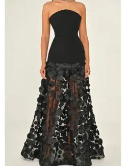 A-Line Evening Gown Elegant Dress Formal Wedding Guest Floor Length Sleeveless Strapless Lace with Tassel