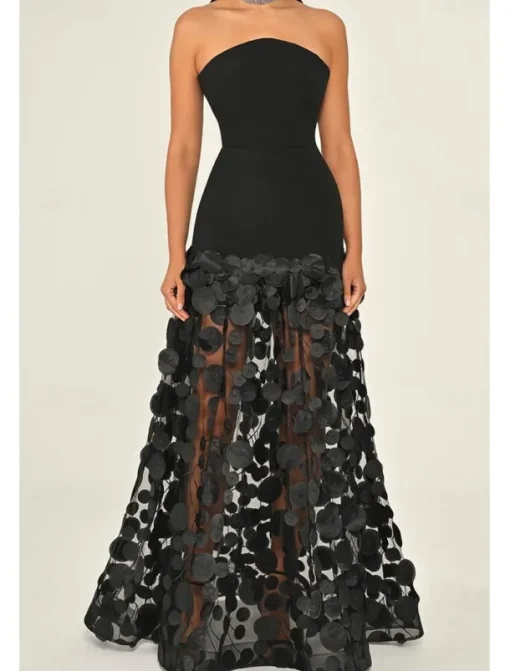 A-Line Evening Gown Elegant Dress Formal Wedding Guest Floor Length Sleeveless Strapless Lace with Tassel