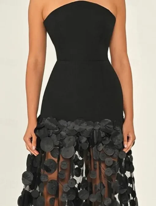 A-Line Evening Gown Elegant Dress Formal Wedding Guest Floor Length Sleeveless Strapless Lace with Tassel