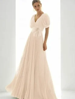 A-Line Evening Gown Elegant Dress Beach Wedding Formal Floor Length Short Sleeve V Neck Chiffon with Feather Ruched