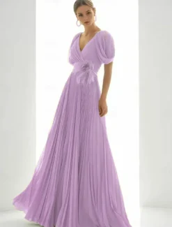 A-Line Evening Gown Elegant Dress Beach Wedding Formal Floor Length Short Sleeve V Neck Chiffon with Feather Ruched