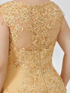 A-Line Mother of the Bride Dress Wedding Guest Elegant Plus Size Illusion Neck Sweep / Brush Train Chiffon Beaded Lace Short Sleeve No with Bow(s) Pleats free custom size