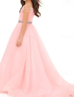 A-Line Sweep / Brush Train Flower Girl Dress Pageant & Performance Juniors Cute Prom Dress Organza with Sash / Ribbon Open Back Fit 3-16 Years dress to impress