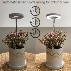 Angel Grow Light 4 or 3 Ring DC5V USB Phytolamp For Plants Led Full Spectrum Lamp For Indoor Plant Seedlings Home Flower Succulet 1pc