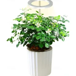 Angel Grow Light 4 or 3 Ring DC5V USB Phytolamp For Plants Led Full Spectrum Lamp For Indoor Plant Seedlings Home Flower Succulet 1pc