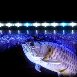 Aquarium Light LED Waterproof Fish Tank Light Underwater Fish Lamp Aquariums Decor Lighting Plant Grow Lamp 220-240V