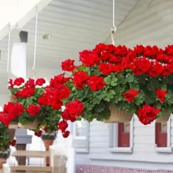 Artificial Red Geranium Silk Flowers Outdoor Plant Bush 2 Bundles Faux Flowers Geraniums for Outdoors Floral Home Decor Indoor Garden Patio Vase Grave Cemetary Table Centerpieces Decor