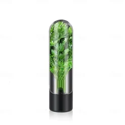 Asparagus and Vanilla Crisper Container Eco-friendly Vegetable Crisper Cup Anti-crush Vegetable Refrigerator Storage Box