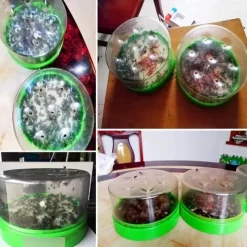 Automatic Fly Trap Fly Killer Home Garden Restaurant Fly Trap To Catch Canteen Fly Machine Indoor INSECT TRAP