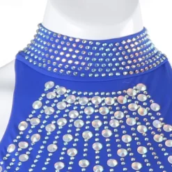 Ballroom Dance Dress Rhinestone Women's Performance Training Long Sleeve High Chiffon Chinlon Tulle