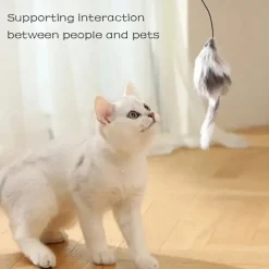 Battery-Operated Interactive Cat Toy Ball with Tracking MouseAutomatic Rolling Teaser For All Breeds Battery-Powered (BatteriesNot Included)