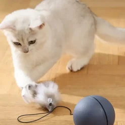 Battery-Operated Interactive Cat Toy Ball with Tracking MouseAutomatic Rolling Teaser For All Breeds Battery-Powered (BatteriesNot Included)