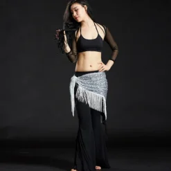 Belly Dance Hip Scarves Women's Performance Polyester Sequin / Tassel Hip Scarf