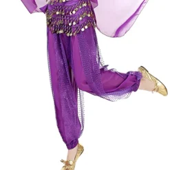 Belly Dance Pants Paillette Women's Performance Dropped Chiffon