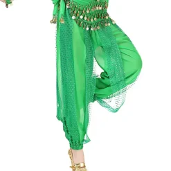Belly Dance Pants Paillette Women's Performance Dropped Chiffon
