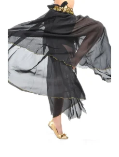 Belly Dance Skirt Split Front Women's Training Performance Dropped Chiffon (WITHOUT Hip Scarf)