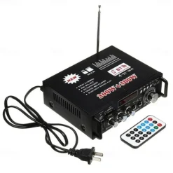Big Promo!600W 12V/ 220V 2CH Remote Control HIFI Audio Stereo Power Amplifier Bluetooth FM Radio Car Home