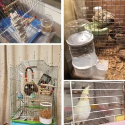 Bird Feeders Water Dispenser No Mess Parrot Food Seed Dispenser Bird Automatic Waterer Feeder Container Cockatiel Cage Accessories for Parrot Finch Budgie Lovebirds Canaries