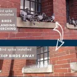 Birdthorn - Anti-pigeon Squirrel Raccoon Cat and Crow Defenders - Durable Stainless Steel for Outdoor Railing Protection