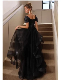 Black Tie A-Line Prom Dresses Vintage Dress Formal Floor Length Short Sleeve Square Neck Tulle with Glitter