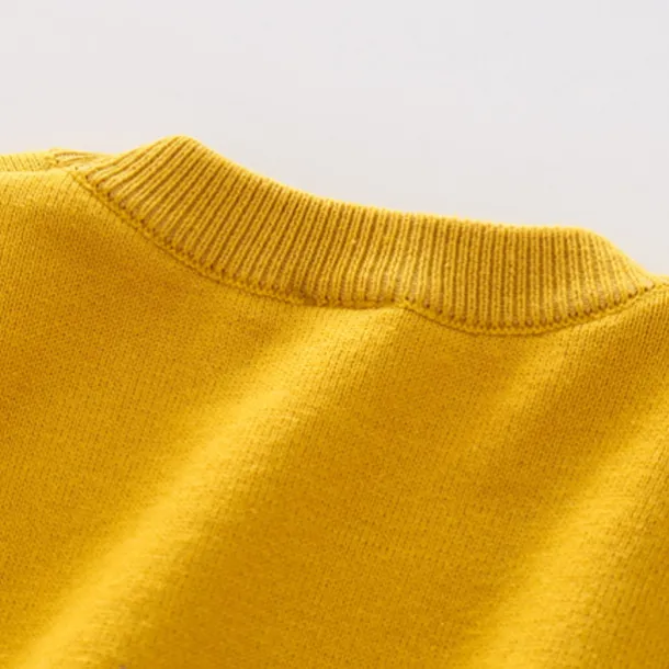 Boys 3D Animal Cartoon Tiger Sweatshirt Long Sleeve Fall Winter Active Basic Kids 3-8 Years Outdoor Indoor Regular Fit