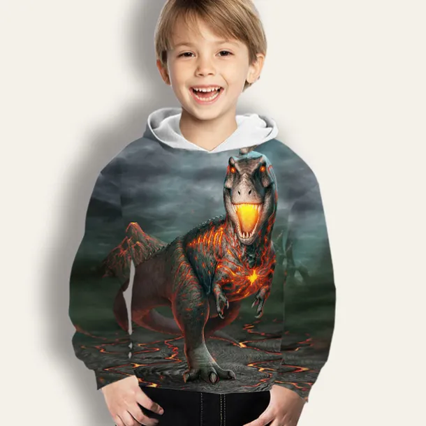 Boys 3D Animal Dinosaur Hoodie Long Sleeve 3D Print Spring Winter Active Sports Fashion Kids 3-12 Years Outdoor Daily Indoor Regular Fit