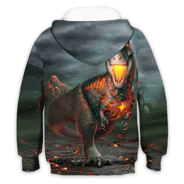 Boys 3D Animal Dinosaur Hoodie Long Sleeve 3D Print Spring Winter Active Sports Fashion Kids 3-12 Years Outdoor Daily Indoor Regular Fit