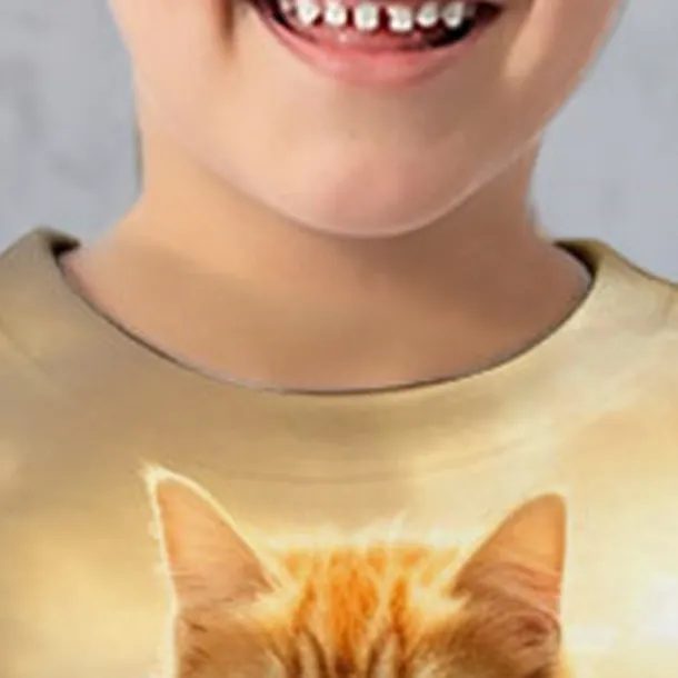 Boys 3D Cat Sweatshirt Pullover Long Sleeve 3D Print Spring Fall Fashion Streetwear Cool Kids 3-12 Years Crew Neck Outdoor Casual Daily Regular Fit