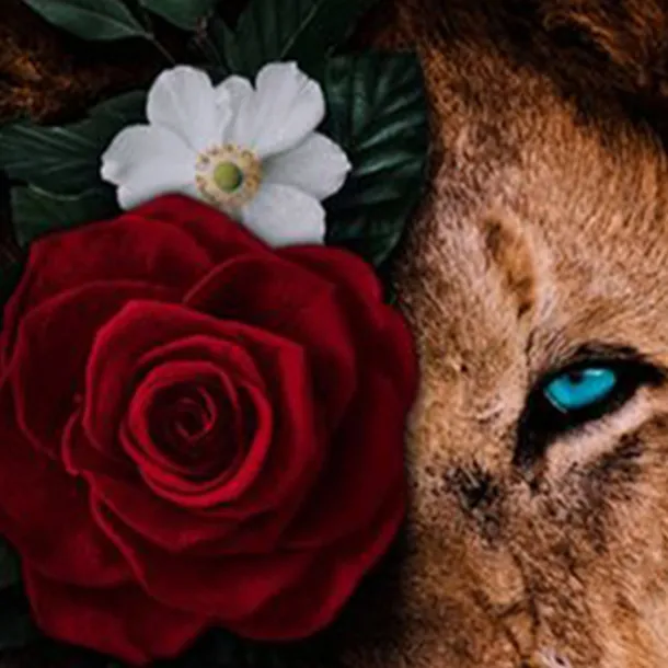 Boys 3D Graphic 3D T shirt Tee Short Sleeve 3D Print Active Kids