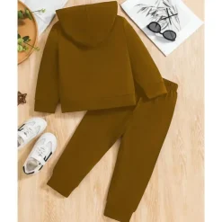 Boys 3D Graphic Hoodie & Sweatpants Set Sports Suit Tracksuits Long Sleeve Spring Fall Daily Basic Casual Kids 4-12 Years Hooded Outdoor Vacation Sports Tailored Fit