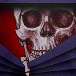 Boys 3D Skull Optical Illusion T shirt Tee Long Sleeve 3D Print Fall Winter Sports Fashion Streetwear Kids 3-12 Years Outdoor Halloween Regular Fit