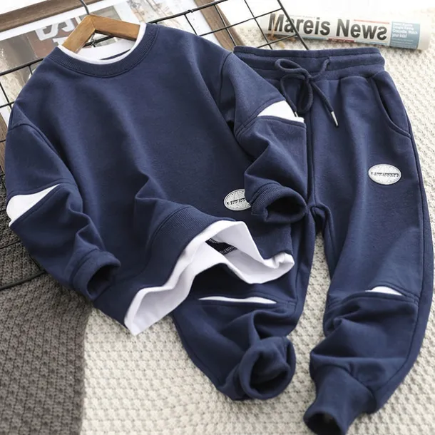Boys 3D Solid Color Hoodie & Sweatpants Set Clothing Set Long Sleeve Fall Winter Daily Casual Kids 4-13 Years Vacation Regular Fit