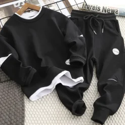 Boys 3D Solid Color Hoodie & Sweatpants Set Clothing Set Long Sleeve Fall Winter Daily Casual Kids 4-13 Years Vacation Regular Fit