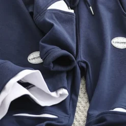 Boys 3D Solid Color Hoodie & Sweatpants Set Clothing Set Long Sleeve Fall Winter Daily Casual Kids 4-13 Years Vacation Regular Fit