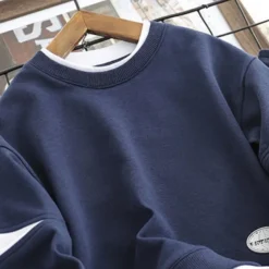 Boys 3D Solid Color Hoodie & Sweatpants Set Clothing Set Long Sleeve Fall Winter Daily Casual Kids 4-13 Years Vacation Regular Fit