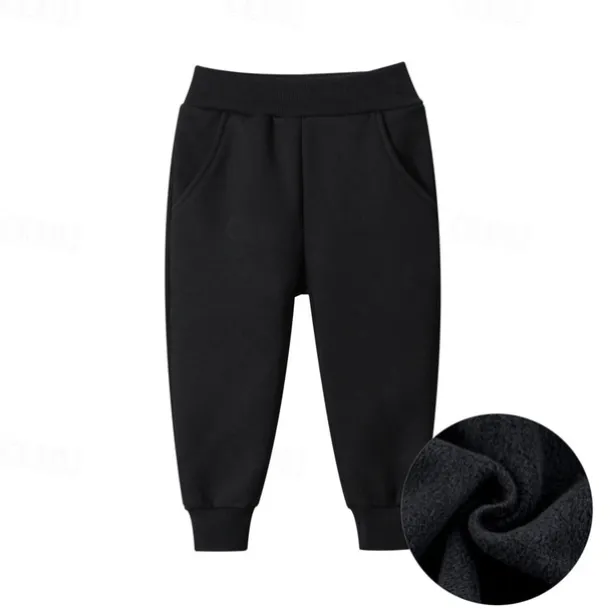 Boys 3D Solid Color Pants Sweatpants Fall Winter Active Basic Kids 4 years+ Outdoor Sport Casual Regular Fit