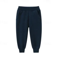 Boys 3D Solid Color Pants Sweatpants Spring Fall Active Basic Kids 4 years+ Outdoor Sport Casual Regular Fit