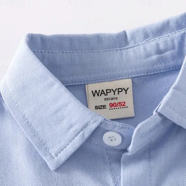 Boys 3D Solid Color Shirts Long Sleeve Summer Spring Fashion Basic Little Kids(4-7ys) 4-7 Years Lapel Outdoor Casual Daily Regular Fit