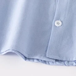 Boys 3D Solid Color Shirts Long Sleeve Summer Spring Fashion Basic Little Kids(4-7ys) 4-7 Years Lapel Outdoor Casual Daily Regular Fit